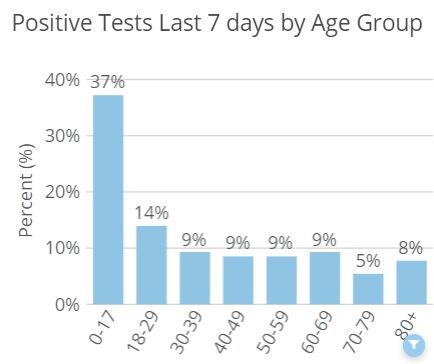 Hardin County COVID Age Breakdown